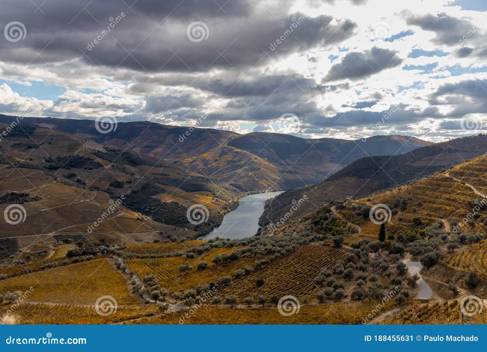 viewpoint to douro river, inserted in the douro valley , portugal wine