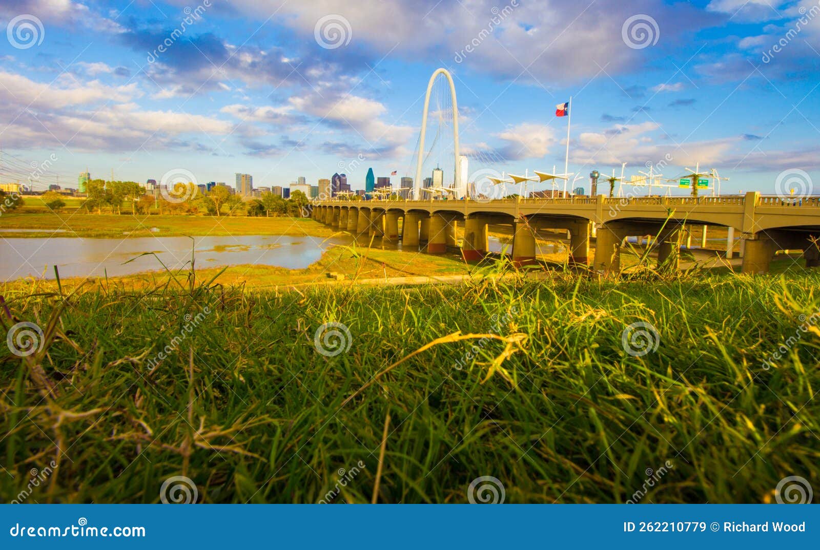 View of the Skyline of Dallas, Texas Stock Image Image of financial