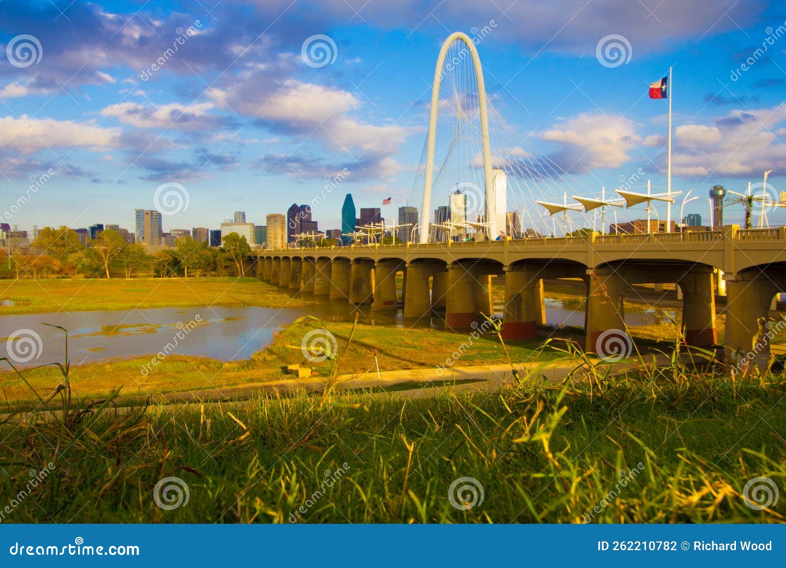 View of the Skyline of Dallas, Texas Stock Photo Image of bank