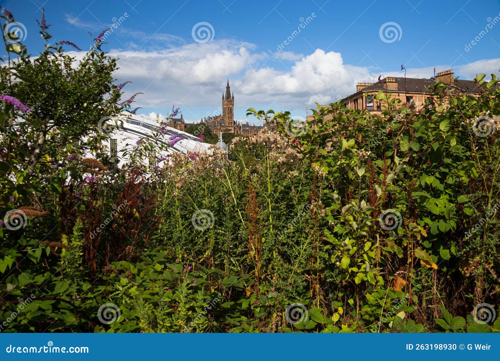 views of glasgow university on a summer's day