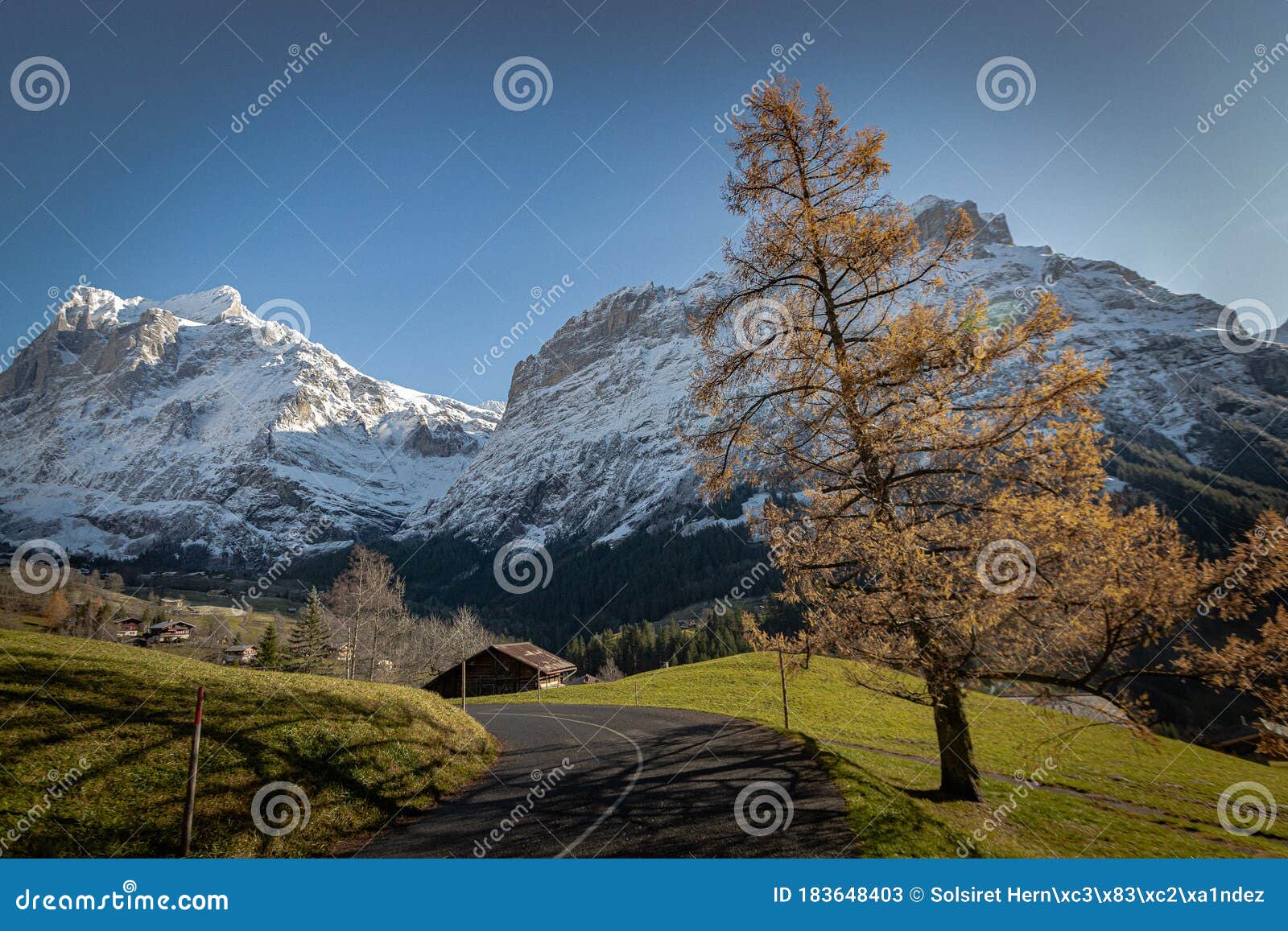 lovely mountains of grindelwald