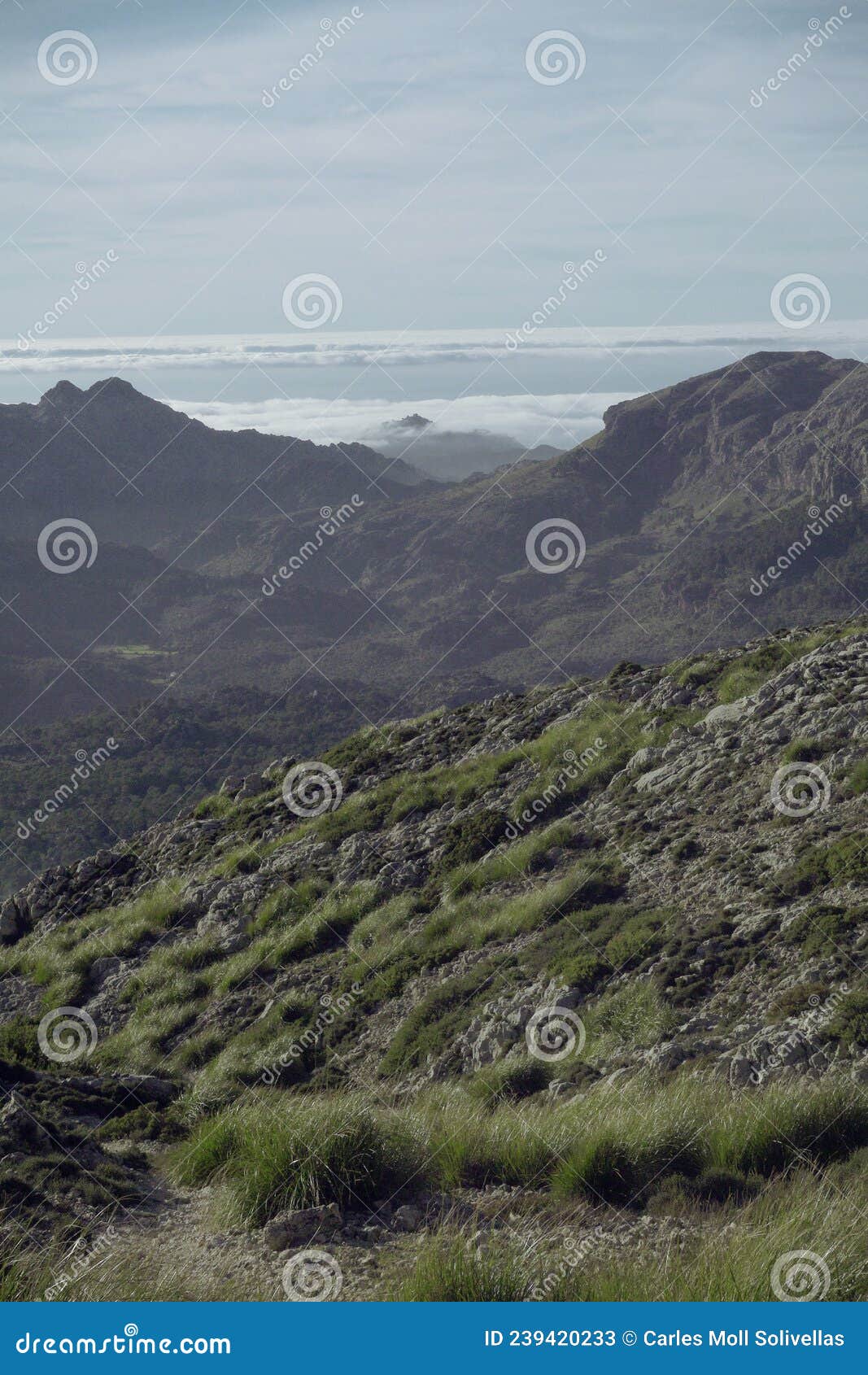 views from puig tomir, mallorca