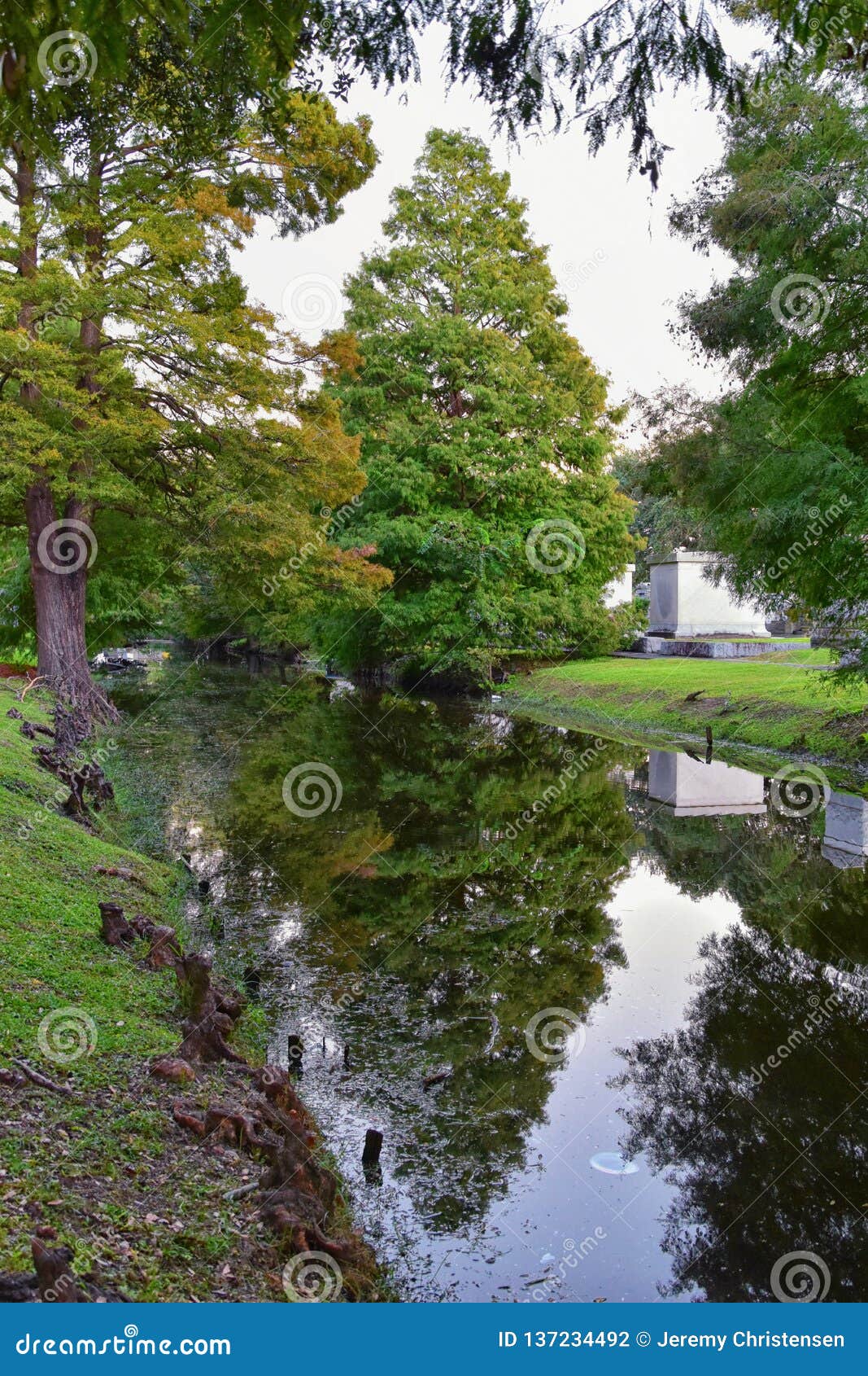 views of trees and unique nature aspects surrounding new orleans, including reflecting pools in cemeteries and the garden district
