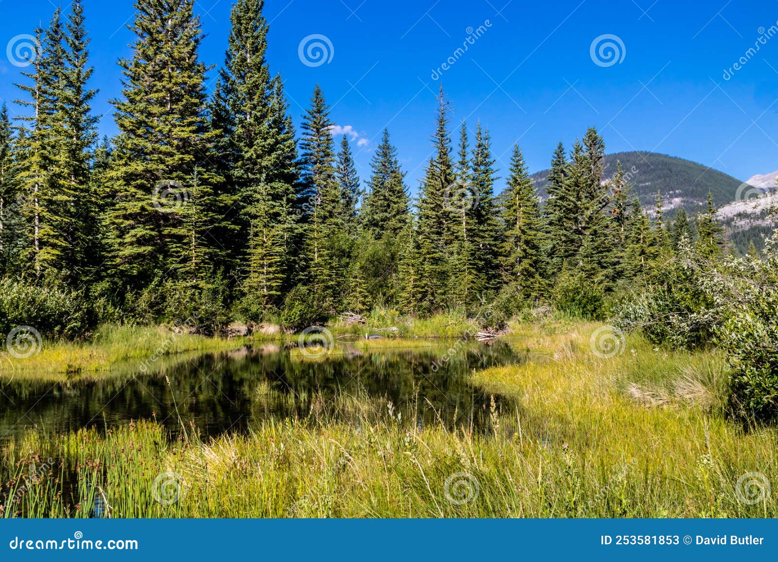Views from the Valley. Bow Valley Provincial Park. Alberta, Canada
