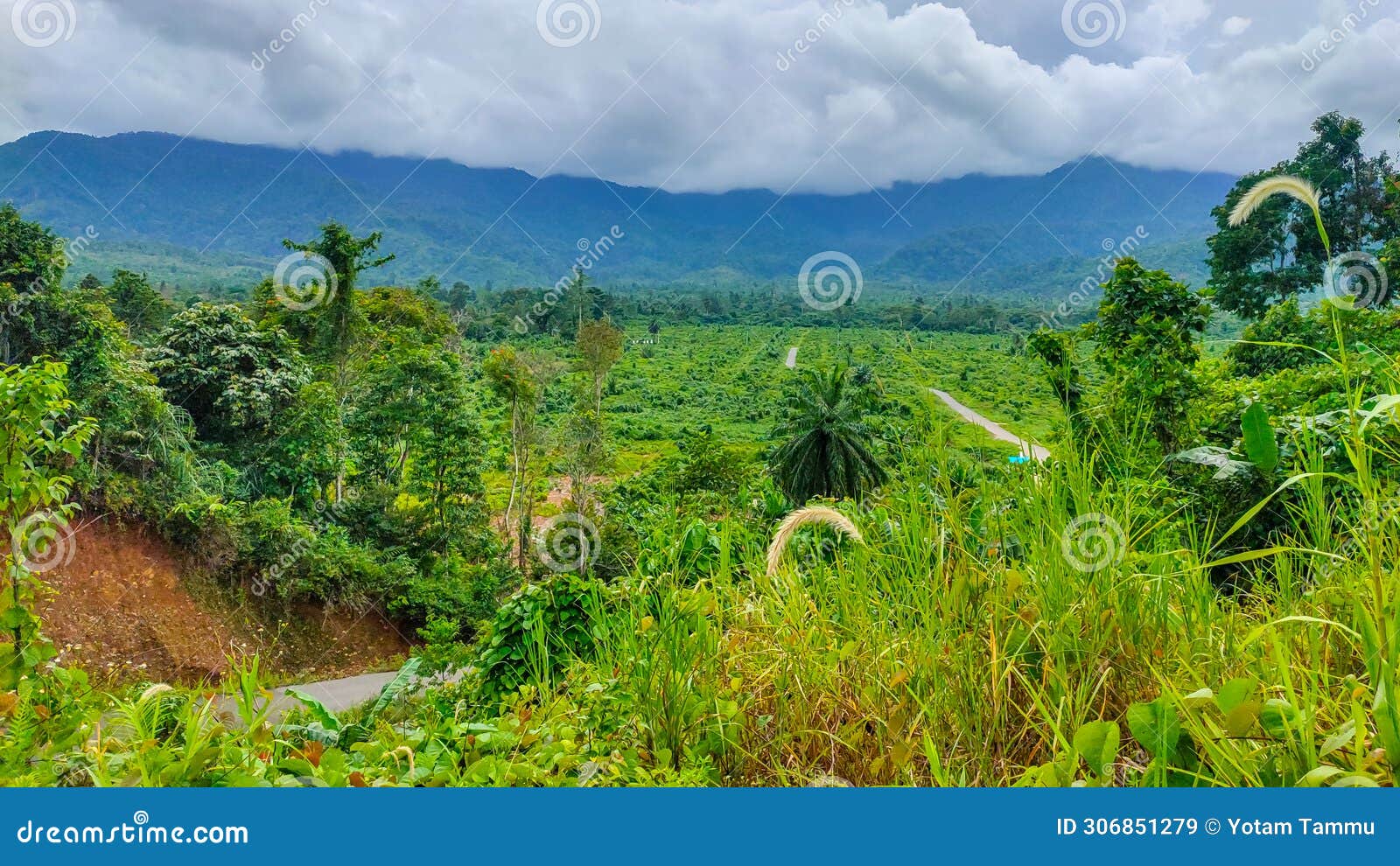 views in warmare district, manokwari with unspoiled nature