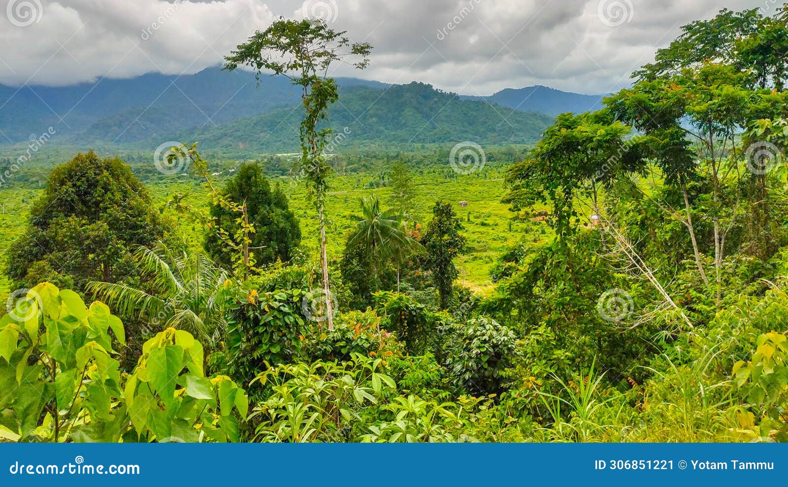 views in warmare district, manokwari with unspoiled nature