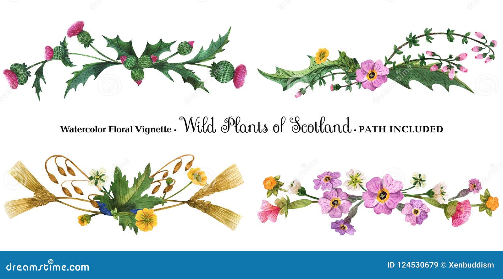 vignette from wild plants of scotland