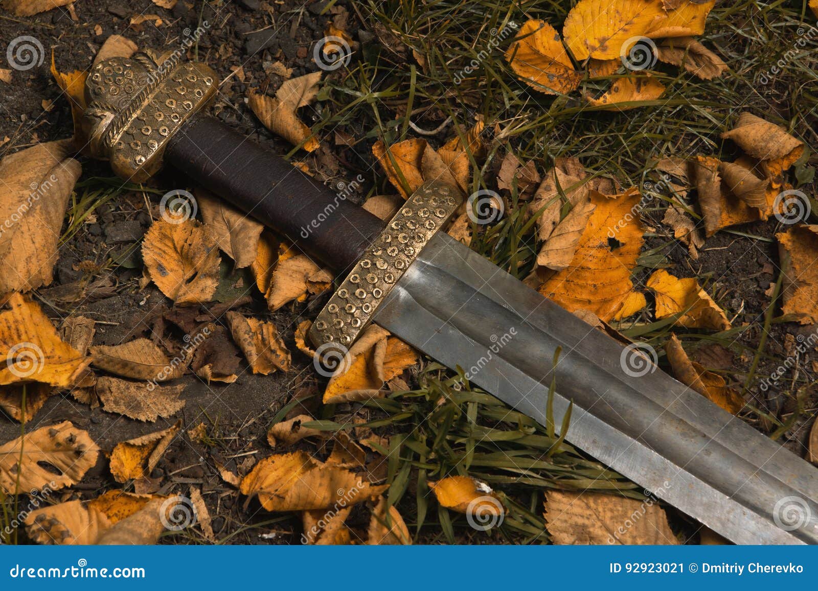 Viking Sword Against the Backdrop of Autumn Leaves Stock Image - Image