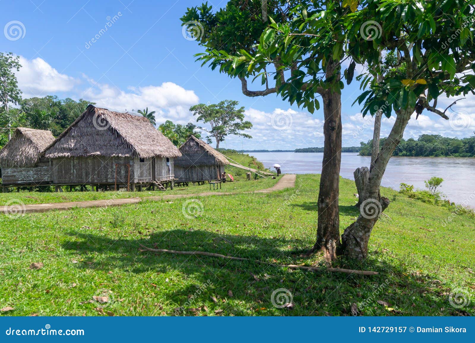 Village in the Amazon Jungle Stock Image Image of forest, houses 142729157