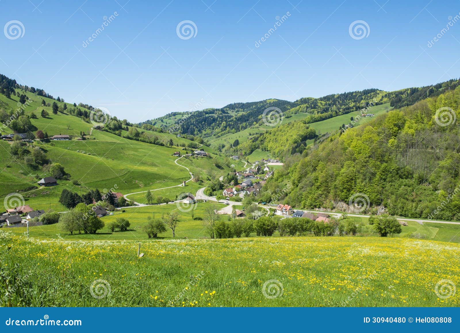 landscape black forest, germany. beautiful flowering meadows, hills with trees, windy road, village, schwarzwald
