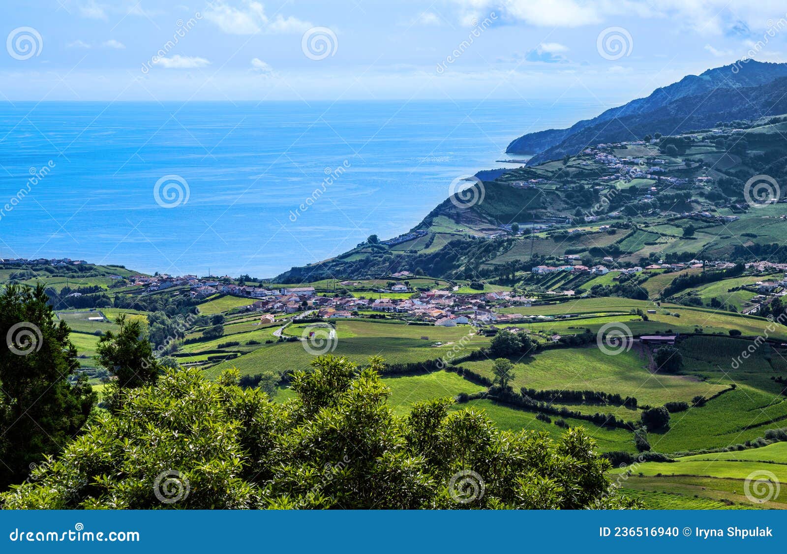 village faial da terra, sÃÂ£o miguel island, azores, aÃÂ§ores, portugal, europe