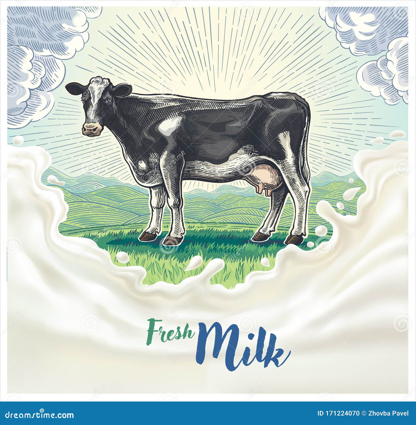 Cow, Drawing in a Graphic Style with Design Elements for Milk Label Stock Vector Illustration