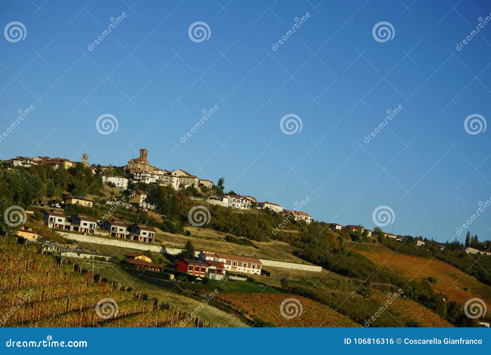 view of montelupo albese