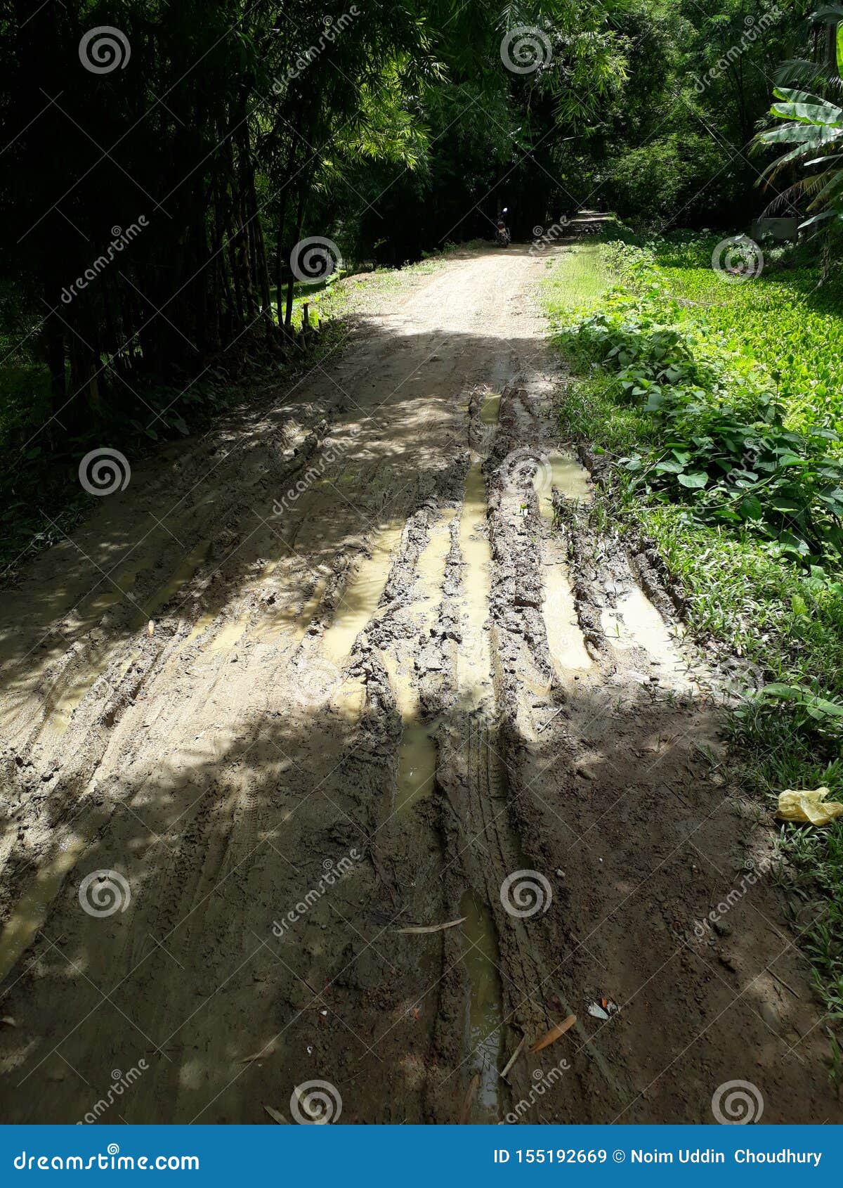 Village Road Bad Condition Not Constructed.people Feel so Much Problem