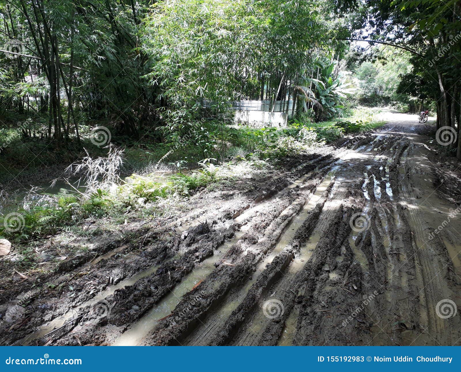 Village Road Bad Condition Not Constructed.people Feel so Much Problem