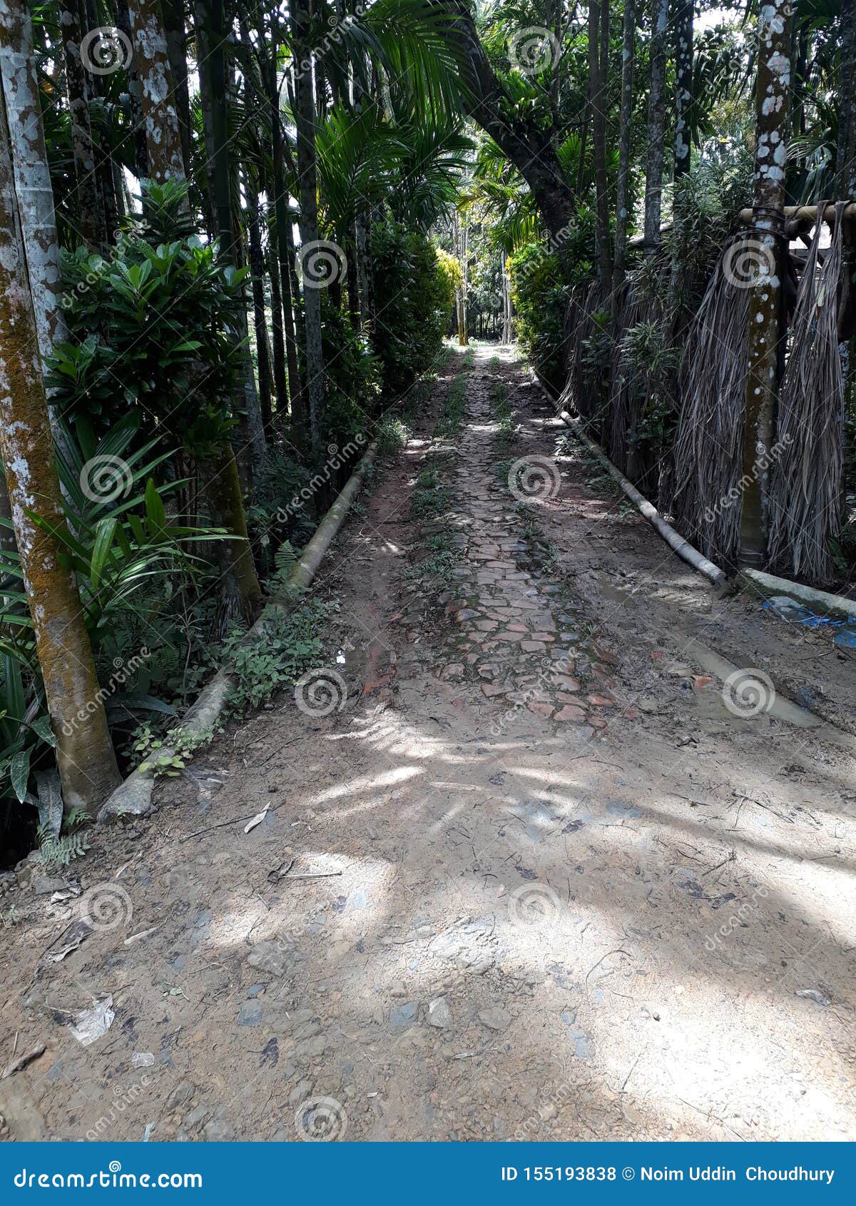 Village Road Bad Condition Not Constructed.people Feel so Much Problem