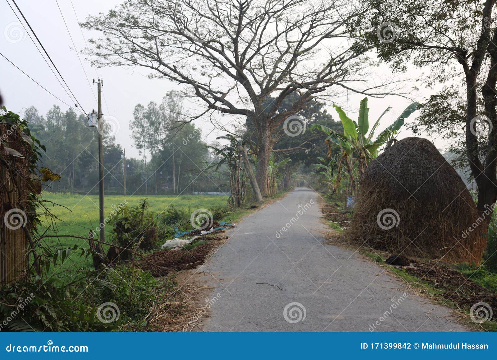 Village Road Beautiful Village Road In Bangladesh Stock Photo Image