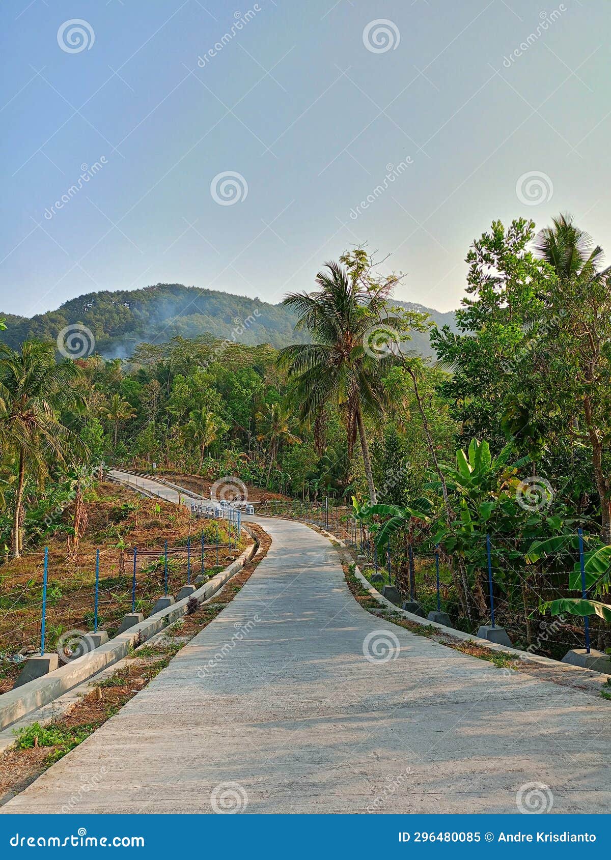 Village Road with Views of Tall Trees Stock Image Image of trees