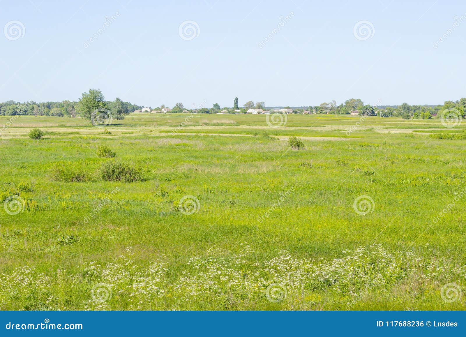 village rural landscape with green field and country houses, summer meadow, grass on a pasture, field, nature background