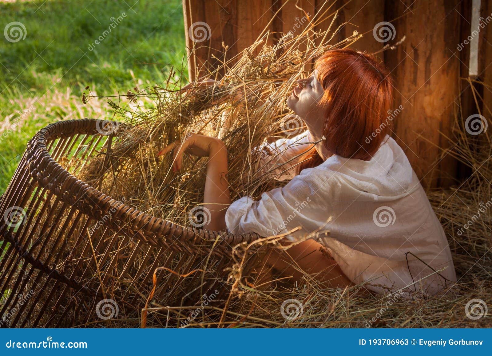 1600px x 1156px - Village Sex, Young Girl with Red Hair in White Shirt Sitting Near To a  Basket of Hay in the Barn in Motning Sunlight Stock Image - Image of girl,  leisure: 193706963