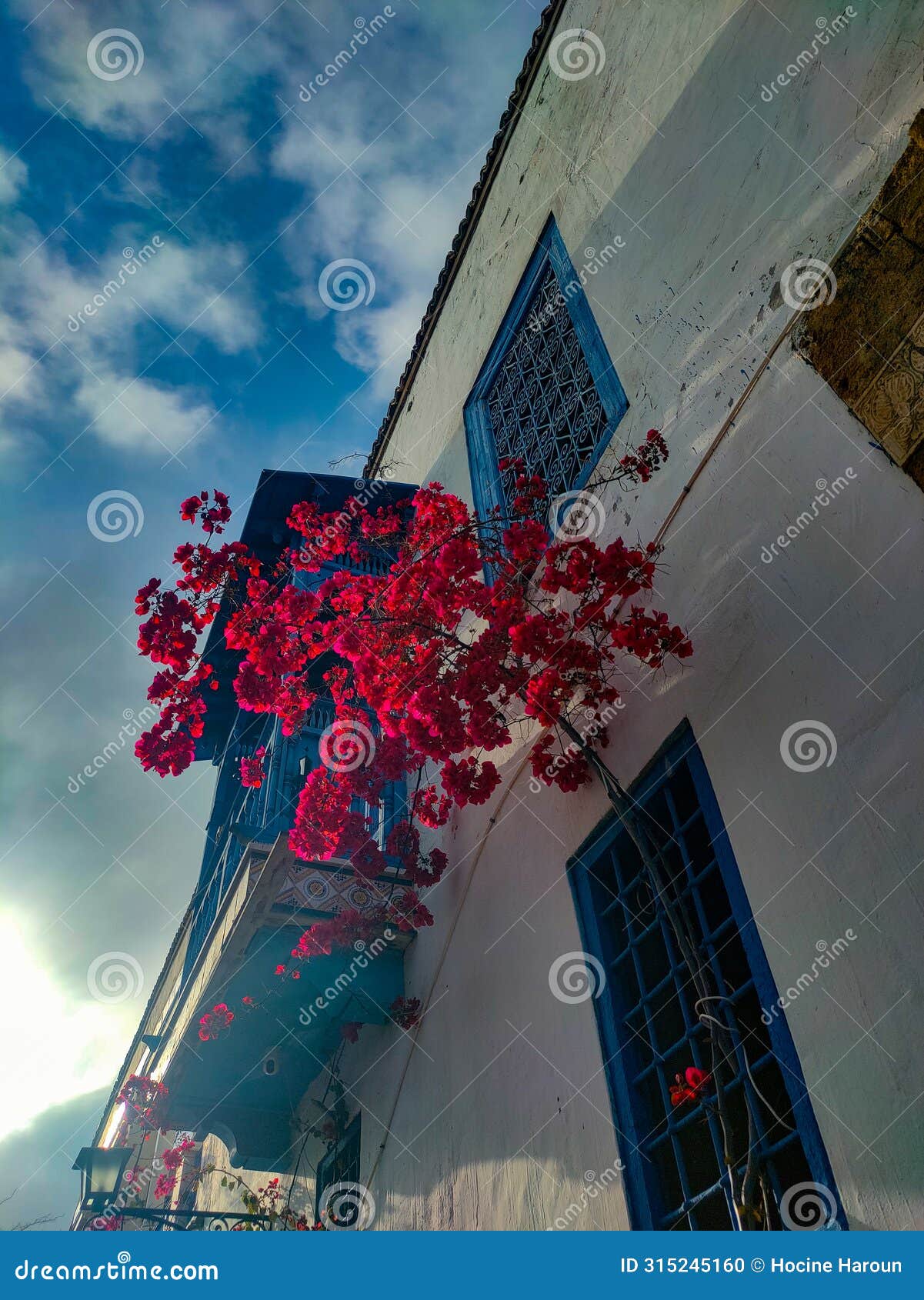 the village of sidi bou said, carthage, tunisia