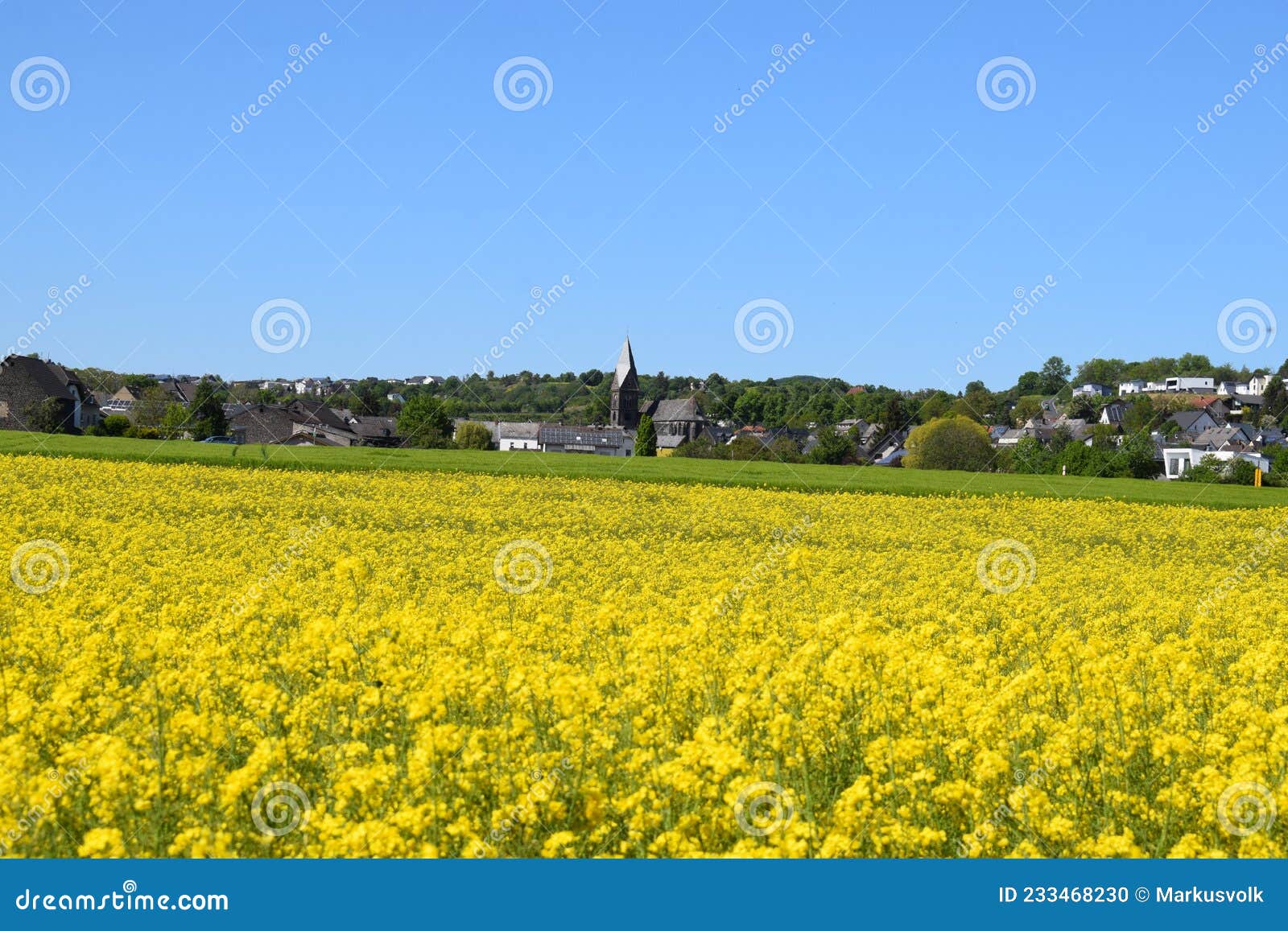 village thÃÂ¼r behind a yellow blooming canola field