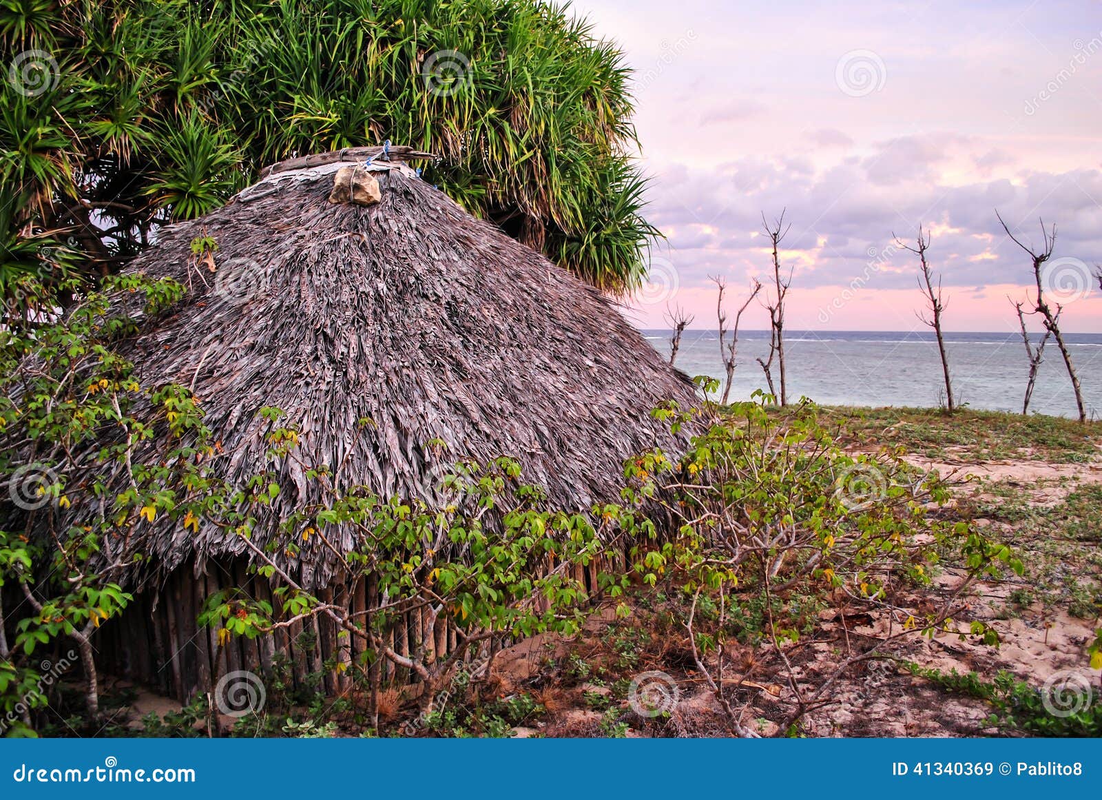 villager's hut in savu island