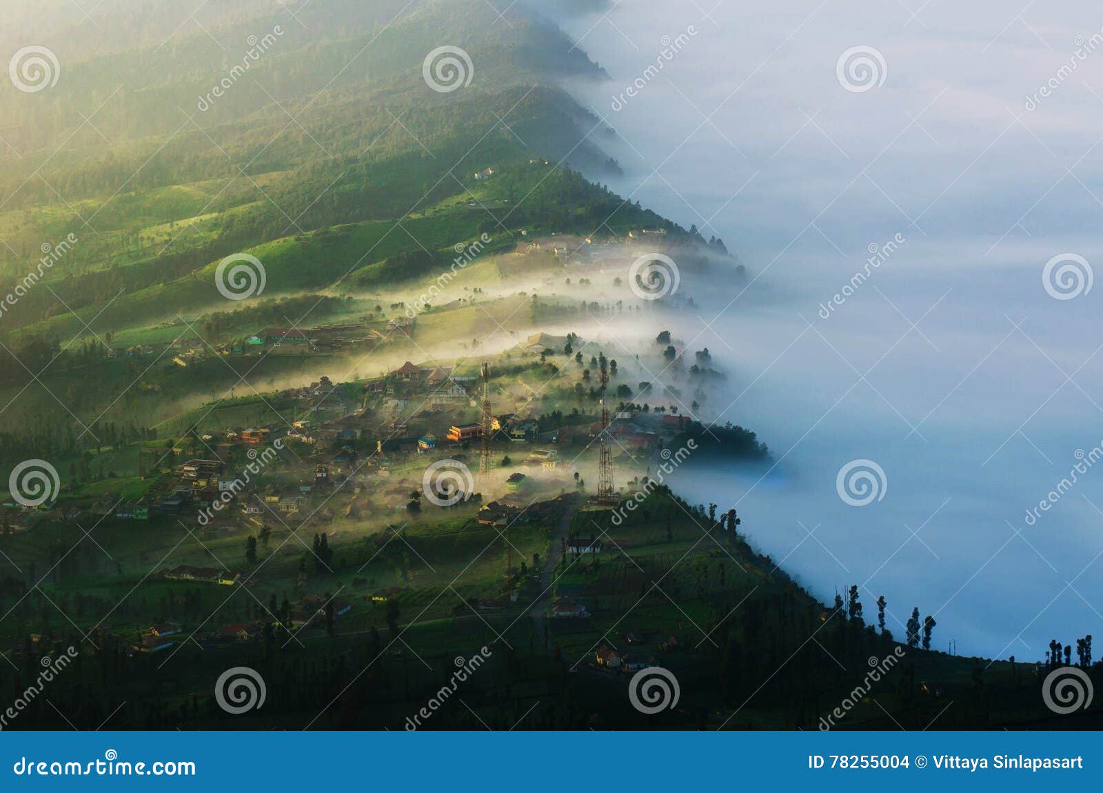 Villaggio del lawang di Cemoro al supporto di Bromo in Bromo. Nebbia al villaggio del lawang di Cemoro al supporto di Bromo nel parco nazionale di semeru del tengger di Bromo, East Java, Indonesia