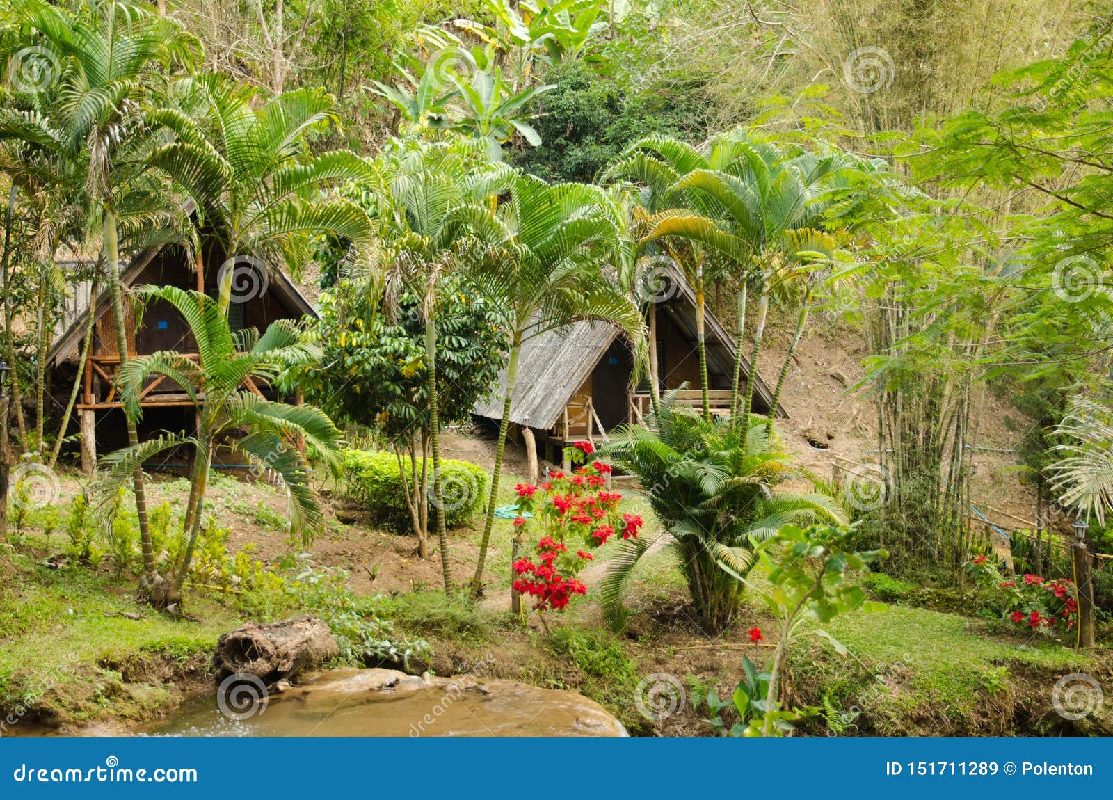 tipical village of the northern of thailandia