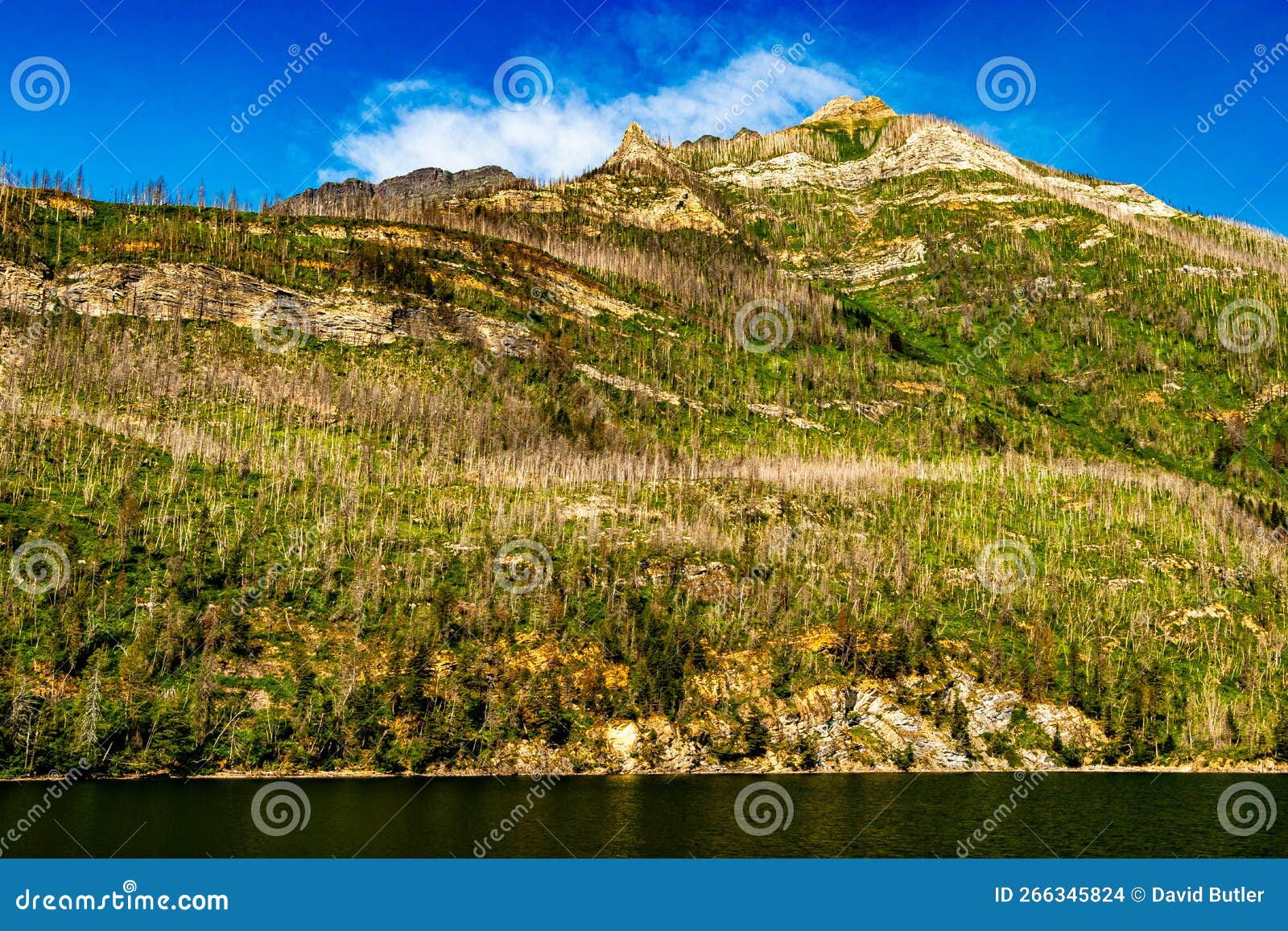 Vimy Upper Waterton Lakes Waterton Lakes National Park Alberta Canada
