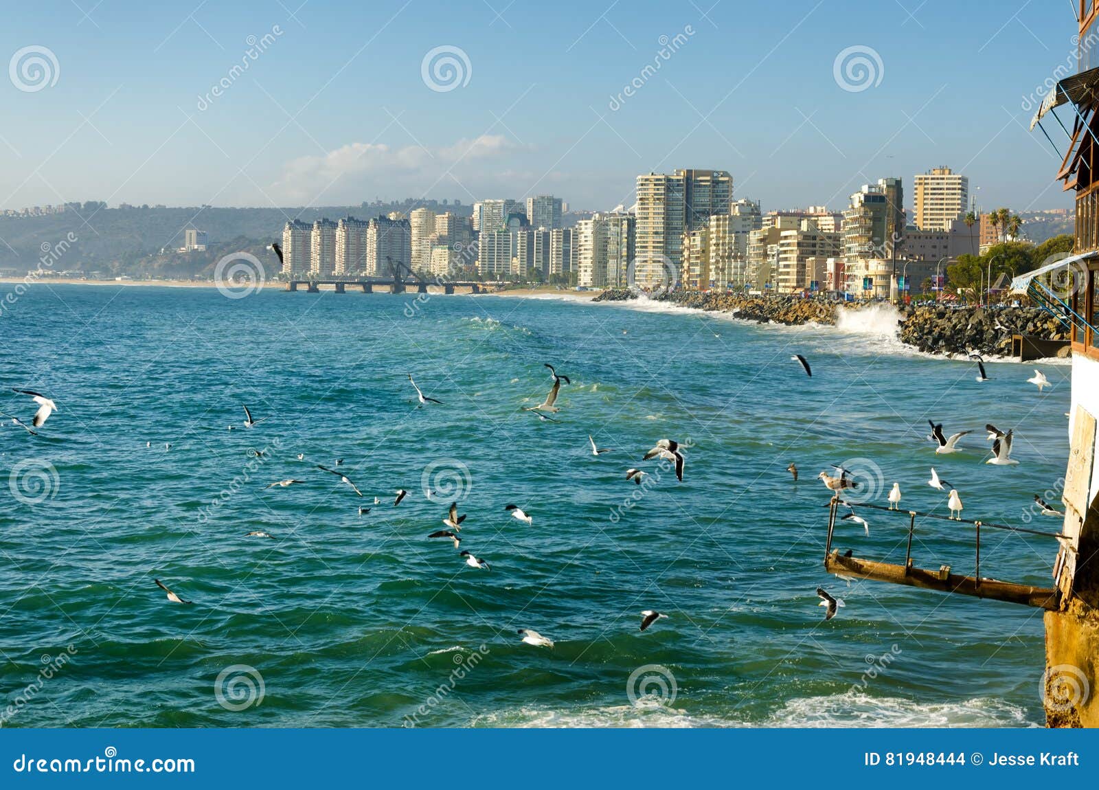 vina del mar beach in chile