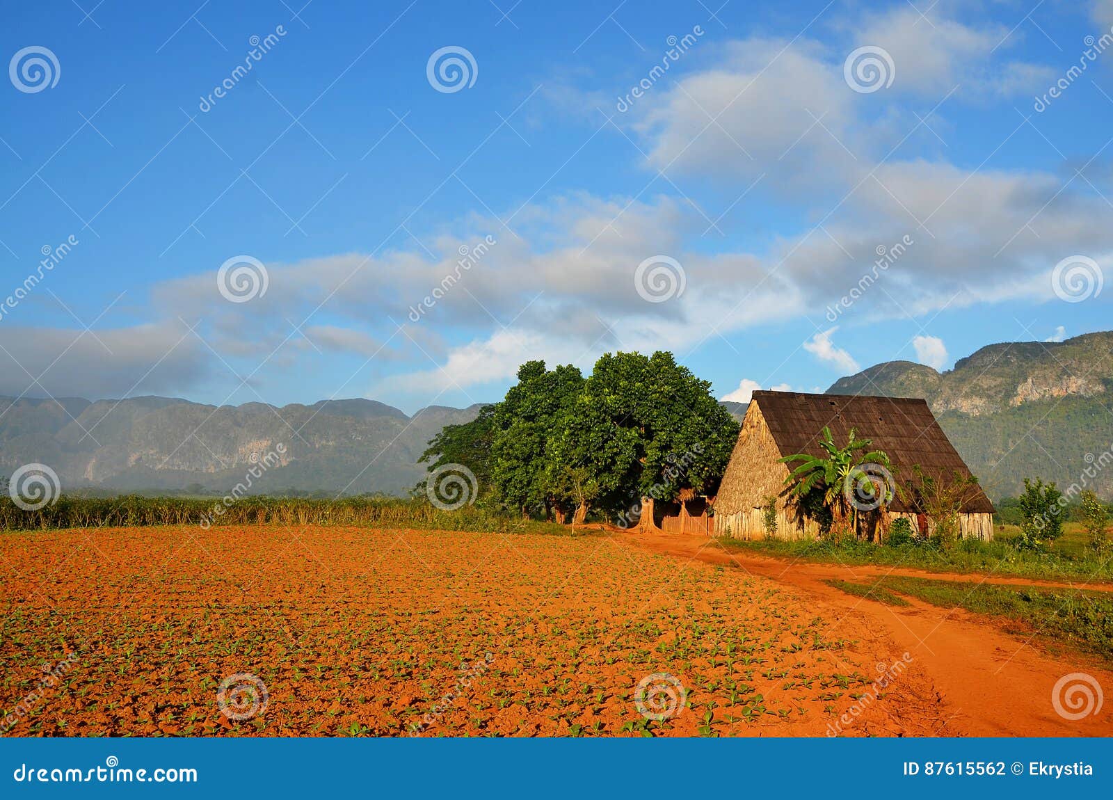 vinales national park and its typical tobacco house, cuba