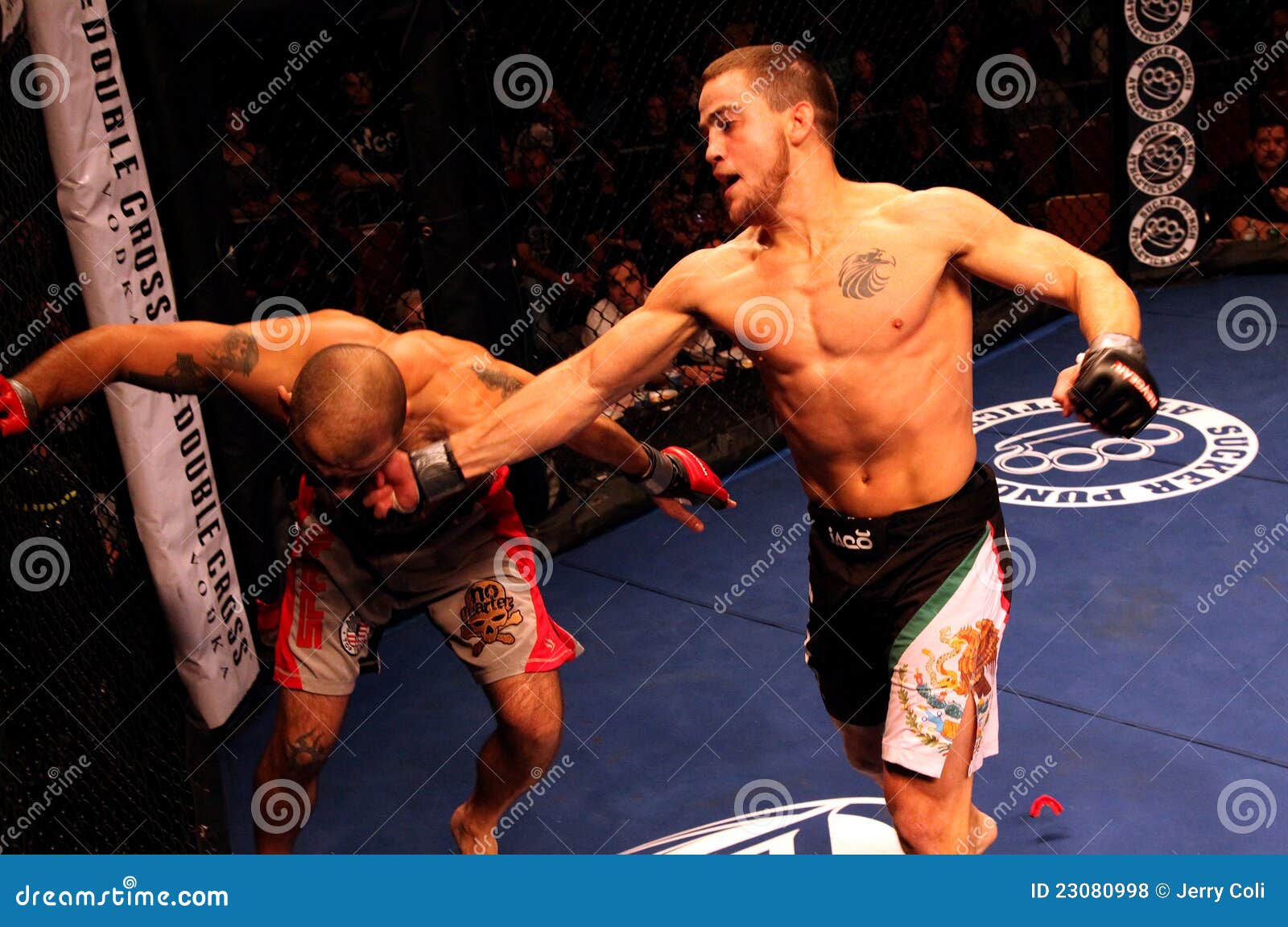 Vincent Ramirez Mixed Martials Arts Editorial Stock Photo Image of