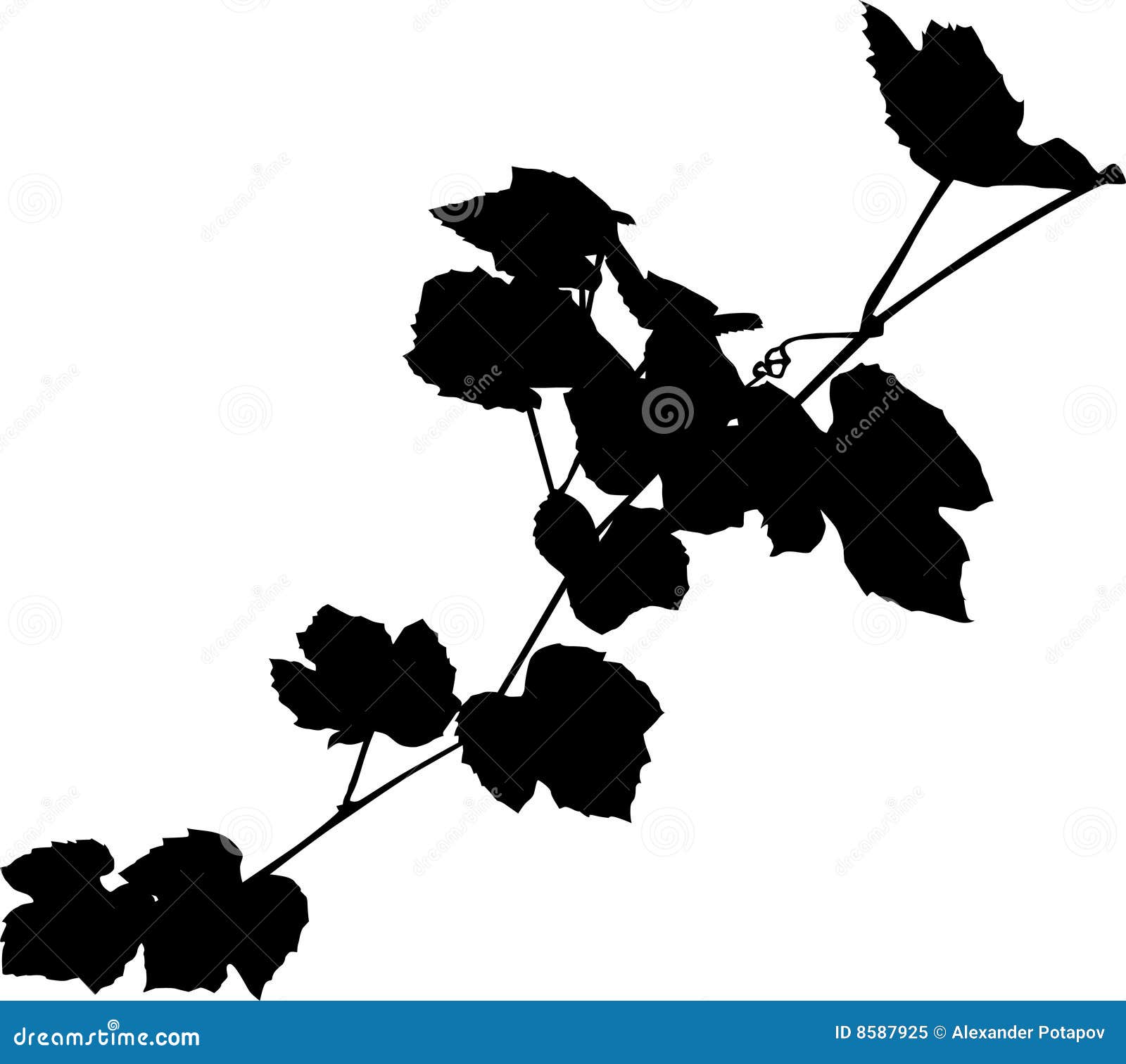 Vine black silhouette stock illustration. Illustration of fruit - 8587925