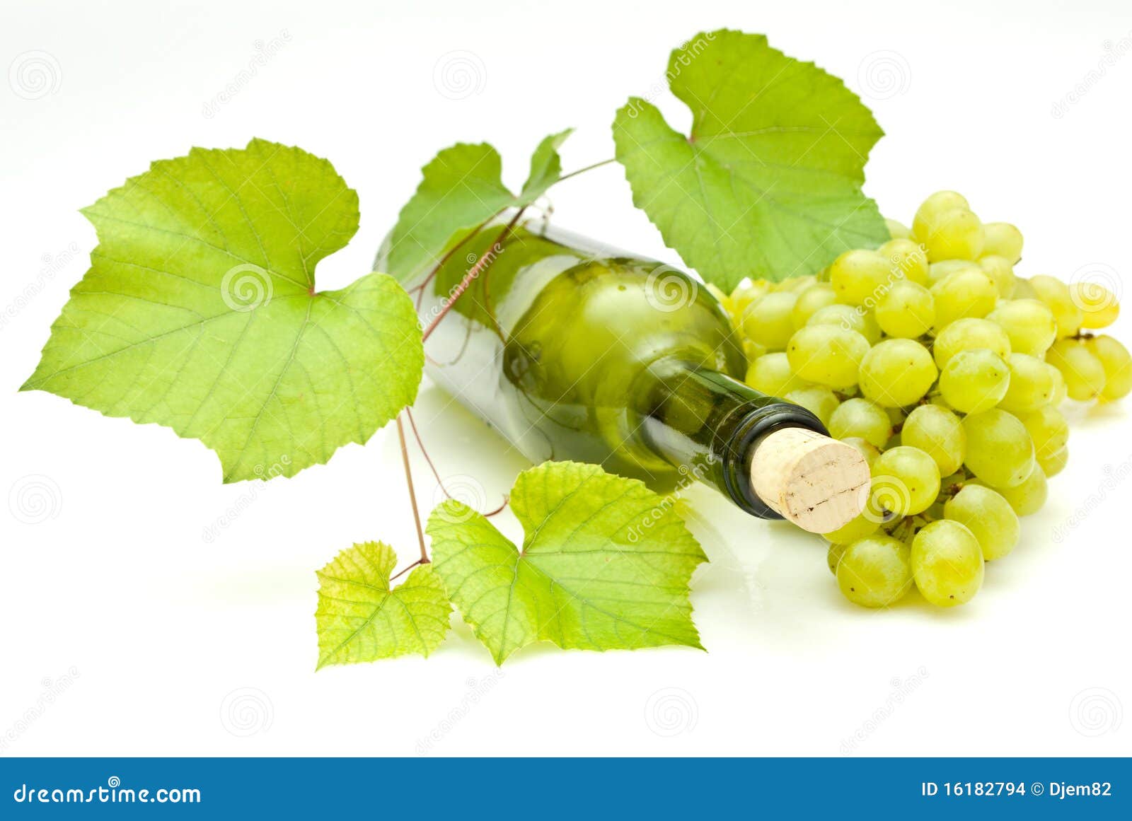 Vine and bottle stock photo. Image of grow, liquid, alcoholic 16182794