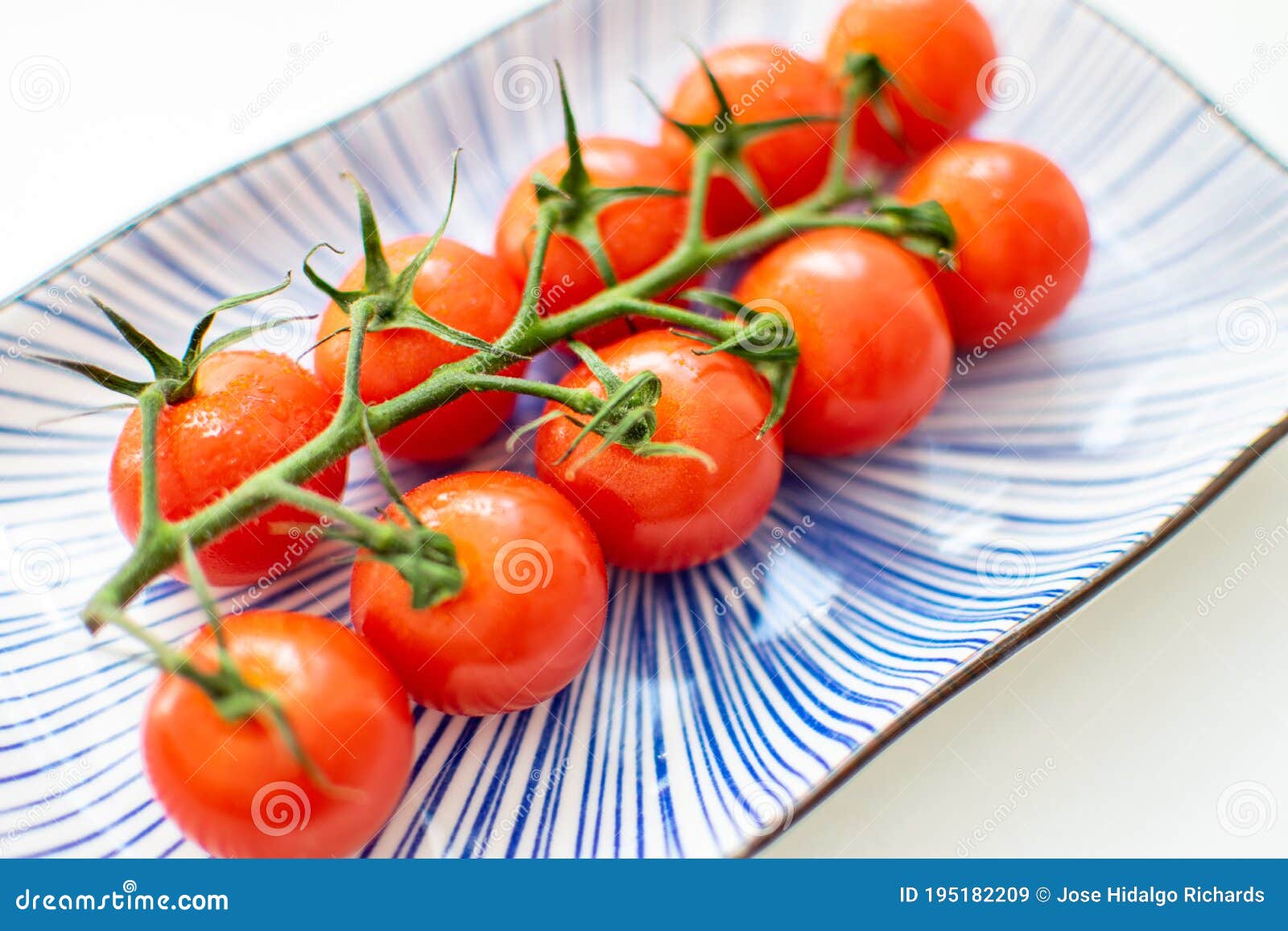 A vine of cherry tomatoes stock image. Image of blue 195182209