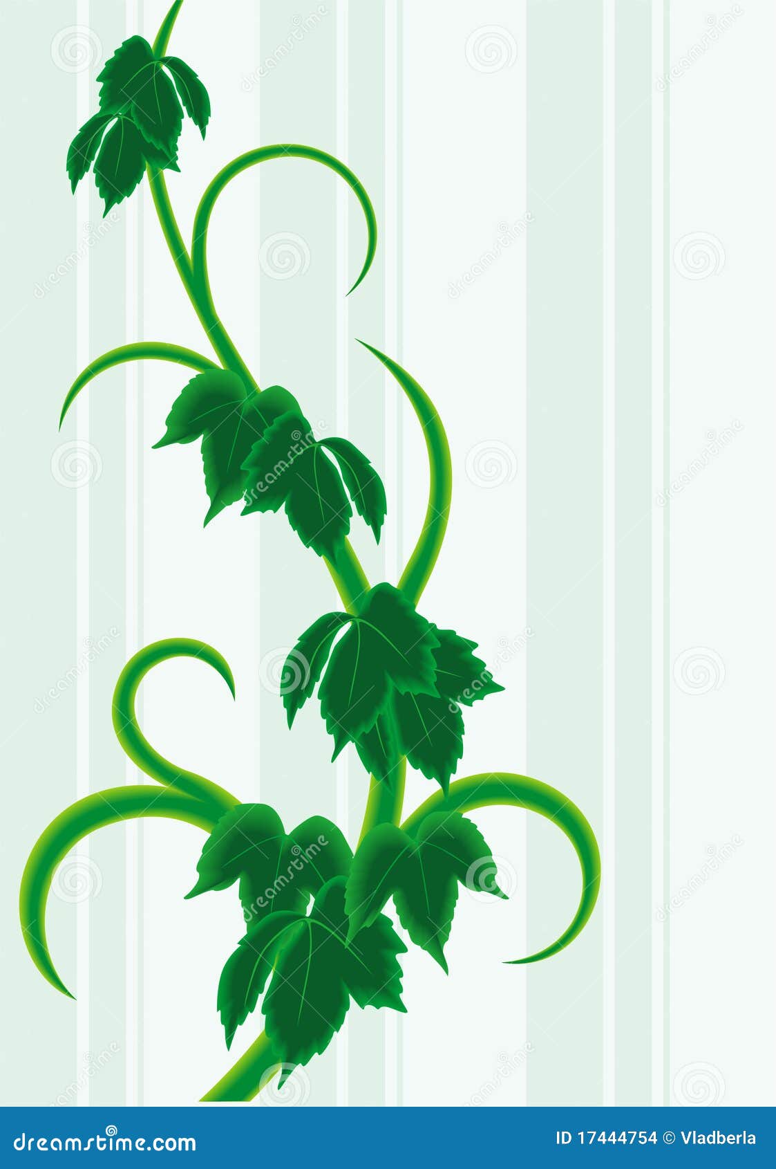 Vine decor stock vector. Illustration of bends, plant 17444754