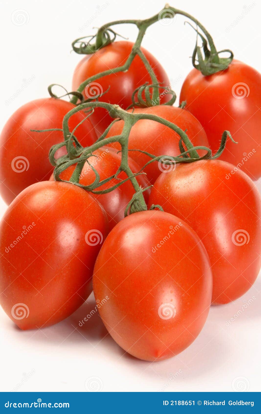 Vine Plum Tomatoes stock image. Image of food, nutrition 2188651