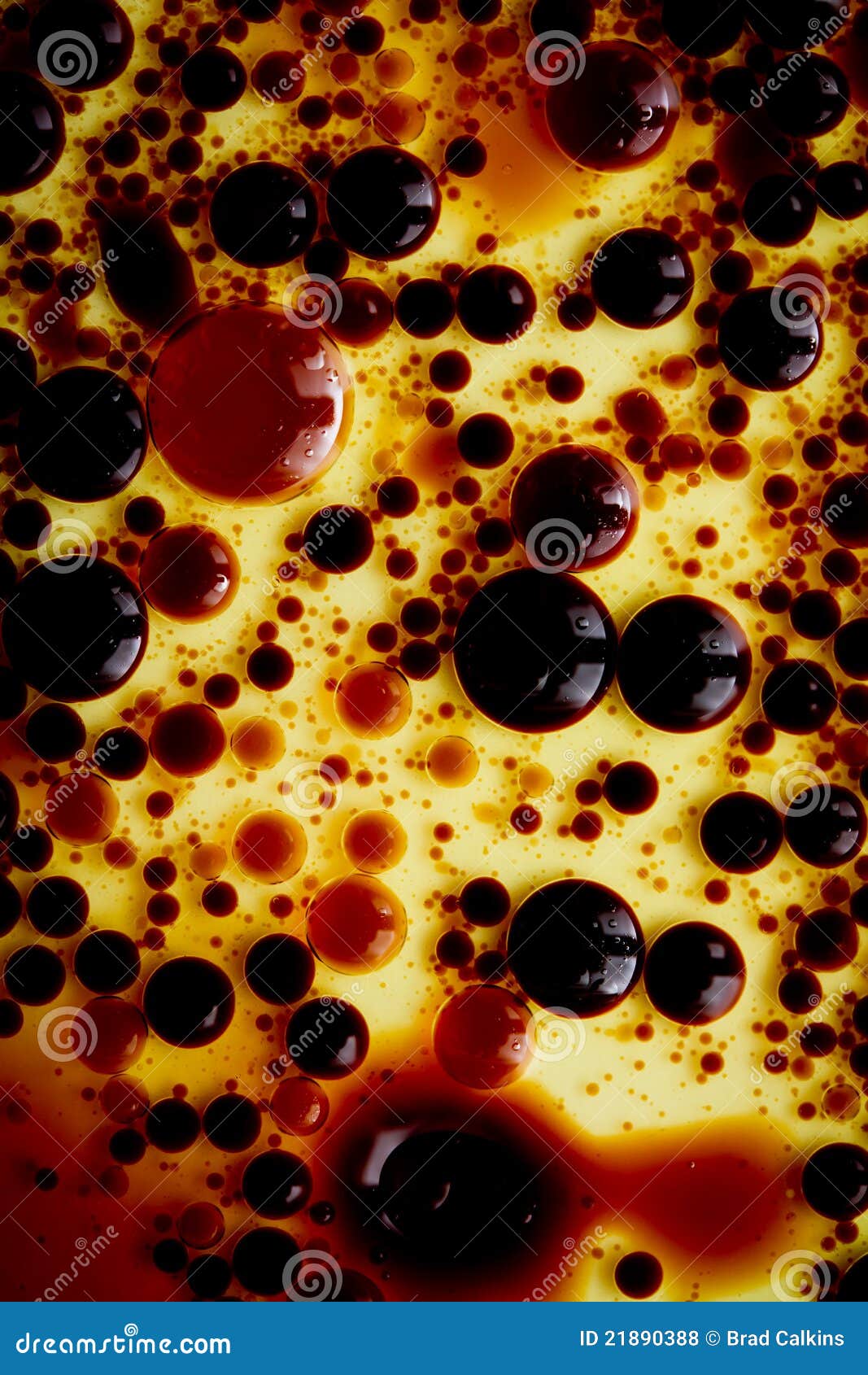 Vinegar and oil stock photo. Image of suspension, droplets 21890388