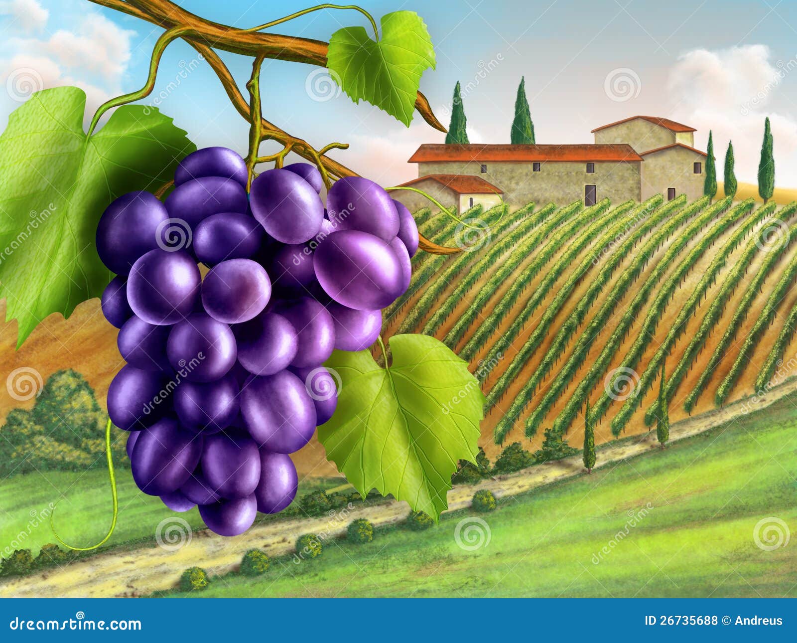 Vineyard stock illustration. Illustration of outdoor 26735688