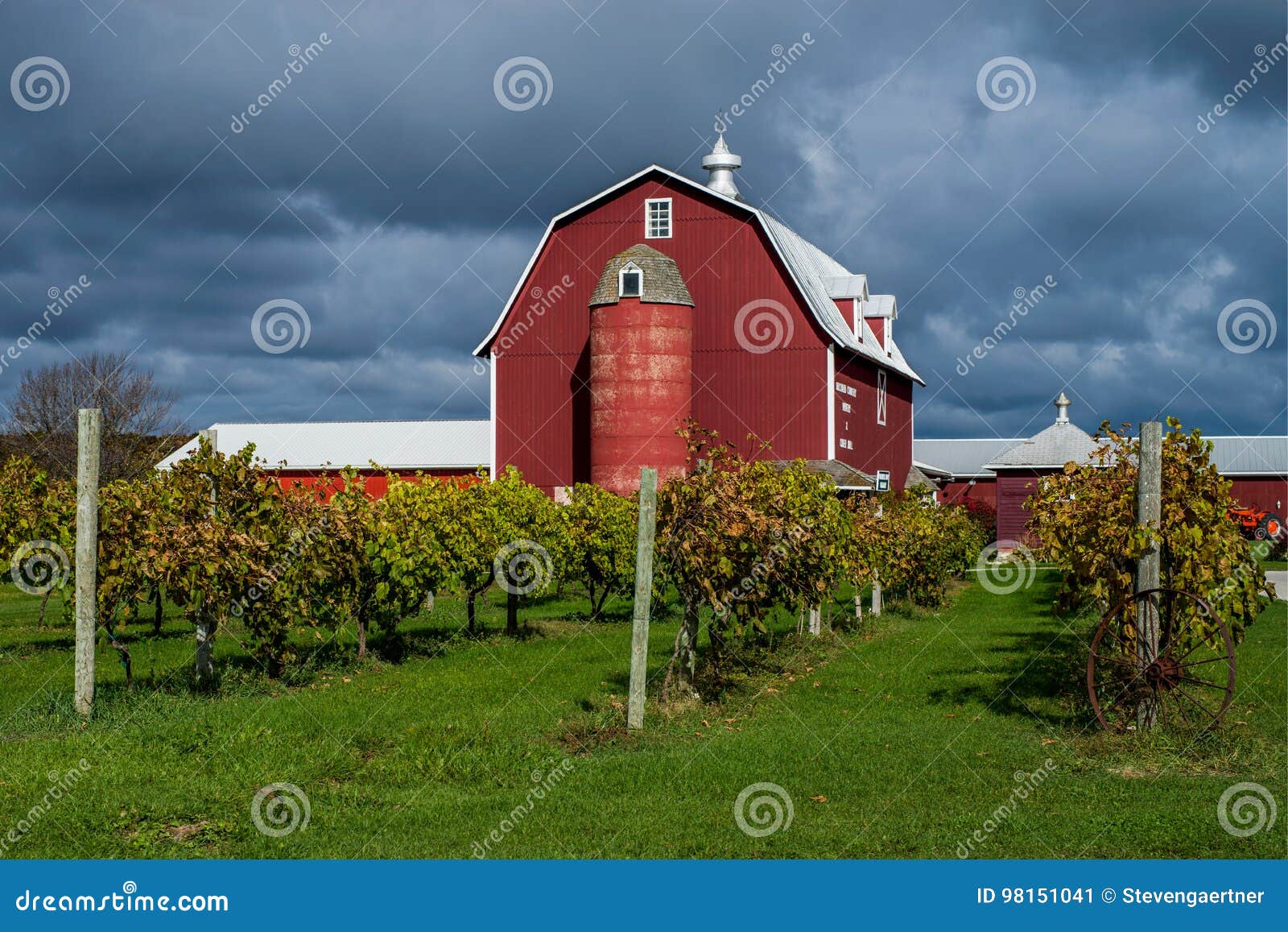 vineyard and barn, door county, wisconsin