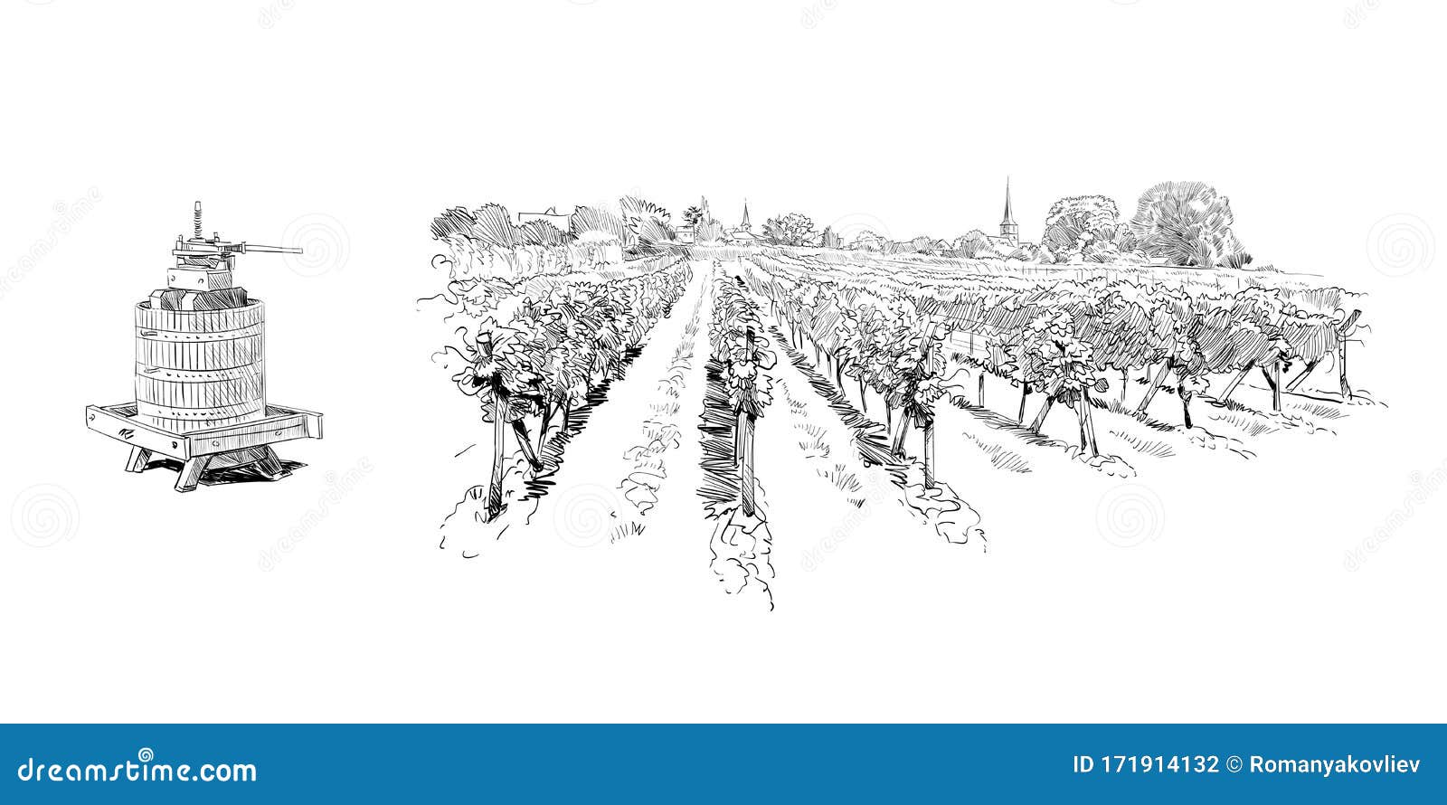 vineyard sketch