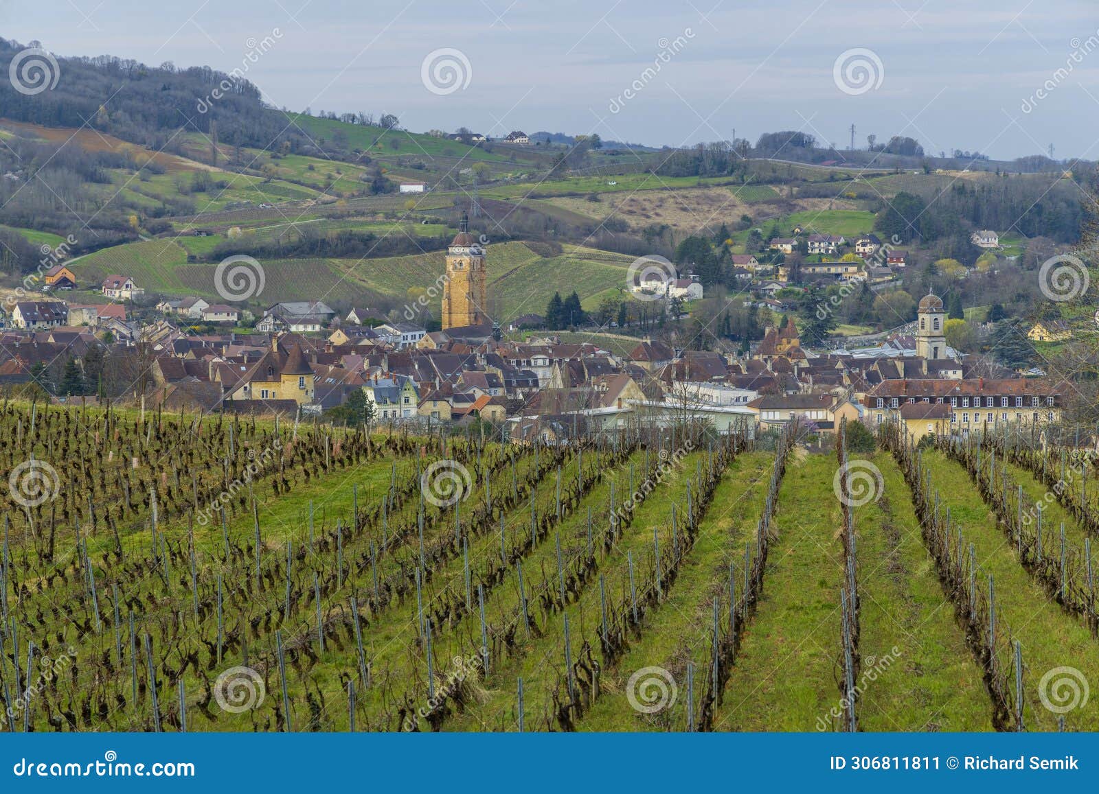 vineyards with arbois town, department jura, franche-comte, france