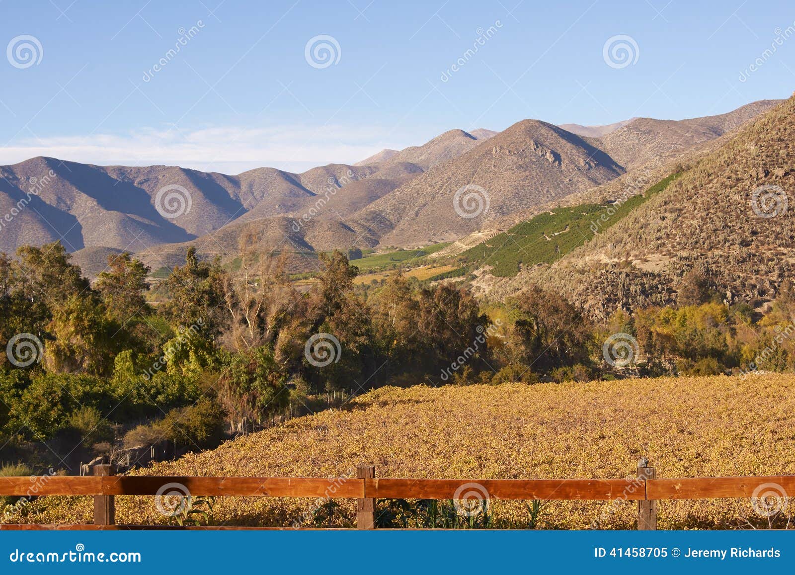 vineyards of chile