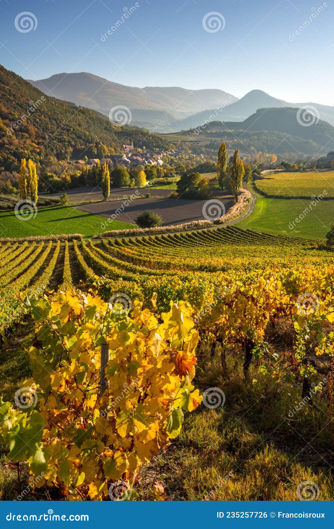 vineyards  in the hautes-alpes with the village of valserres in autumn. alps, france