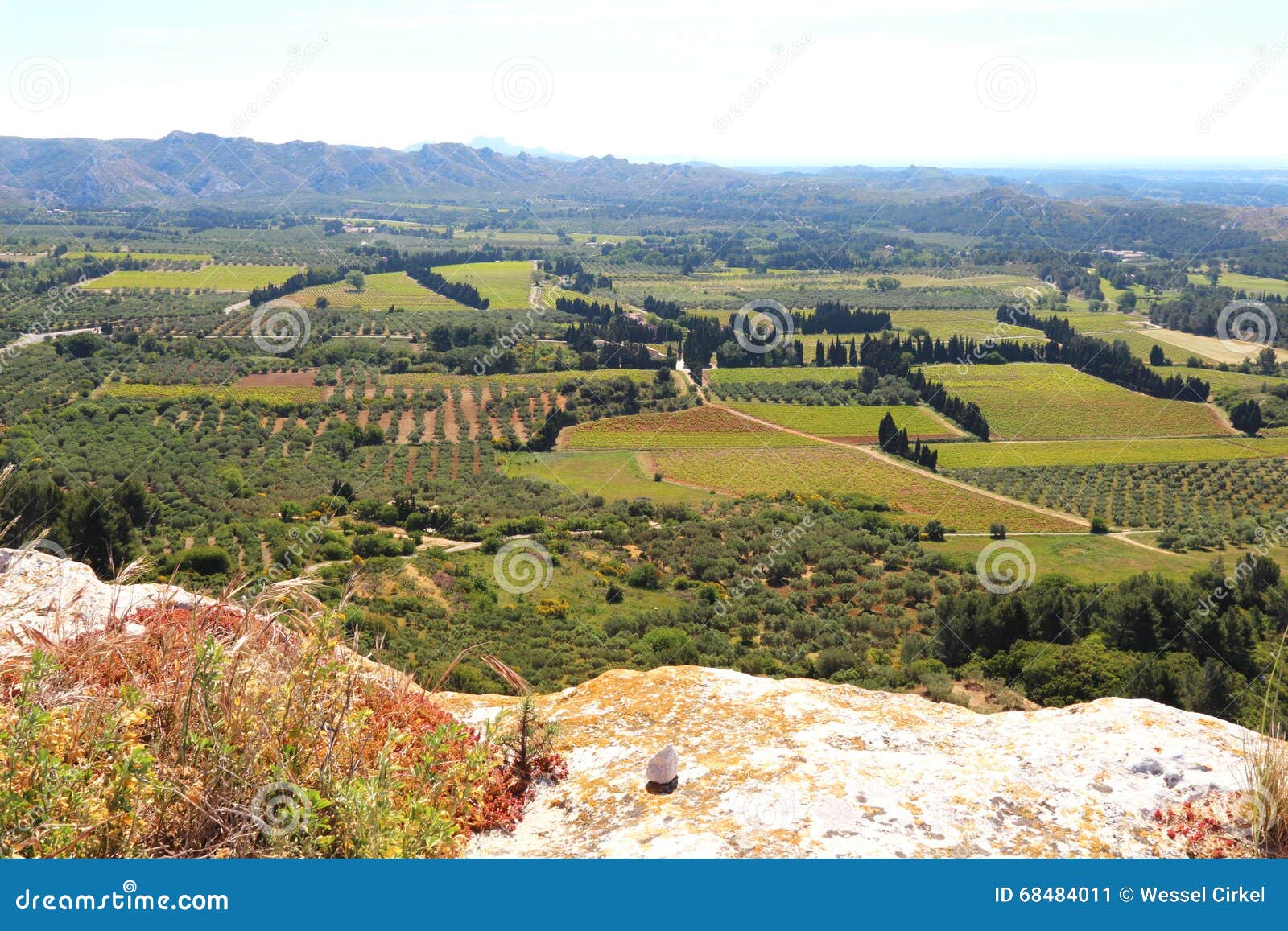 vineyards and olive groves around chÃÂ¢teau des baux, france