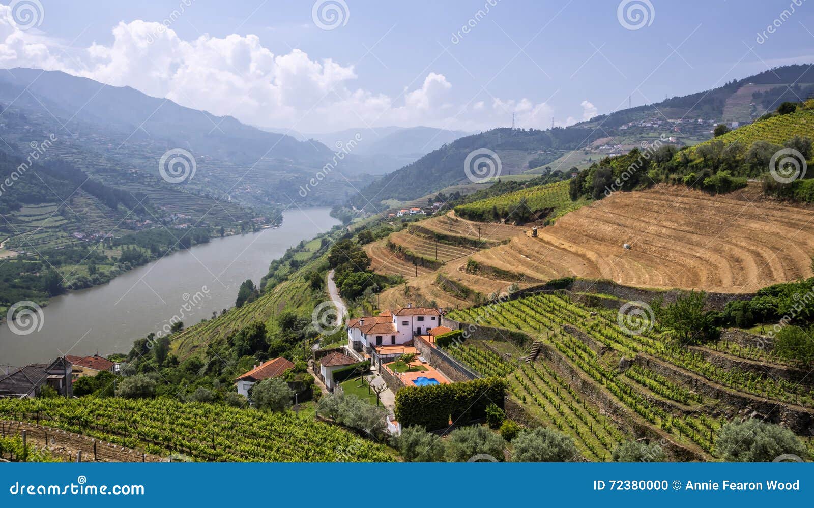 vineyards, portugal