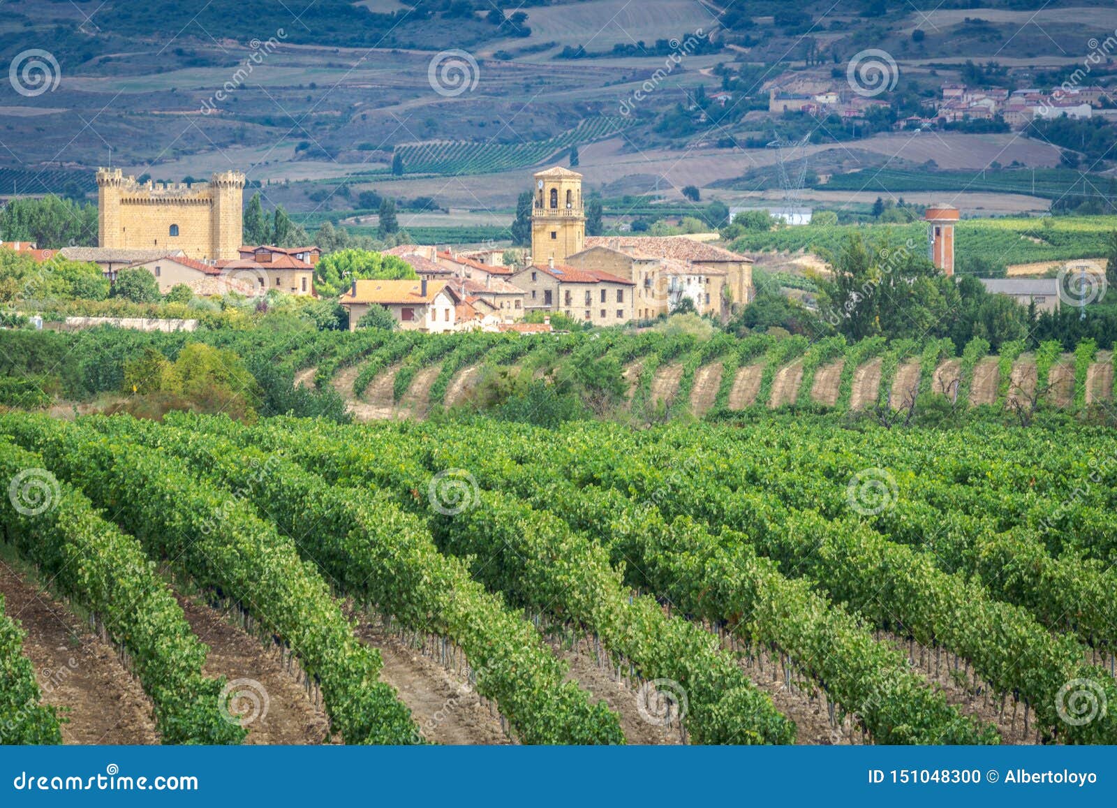 vineyards with sajazarra village as background, la rioja, spain