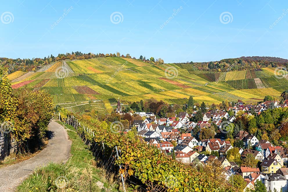 Vineyards at Stuttgart, Uhlbach at the Neckar Valley Beautiful