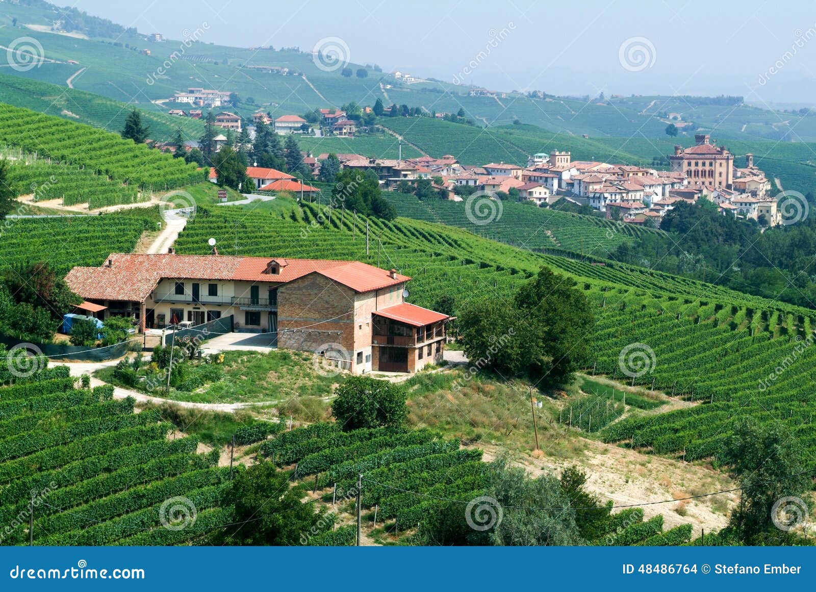 The Vineyards At The Village Of Barolo  In Piedmont  Stock 